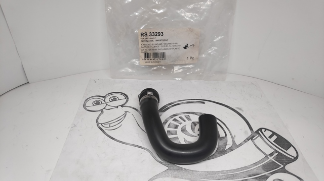  RS 33293