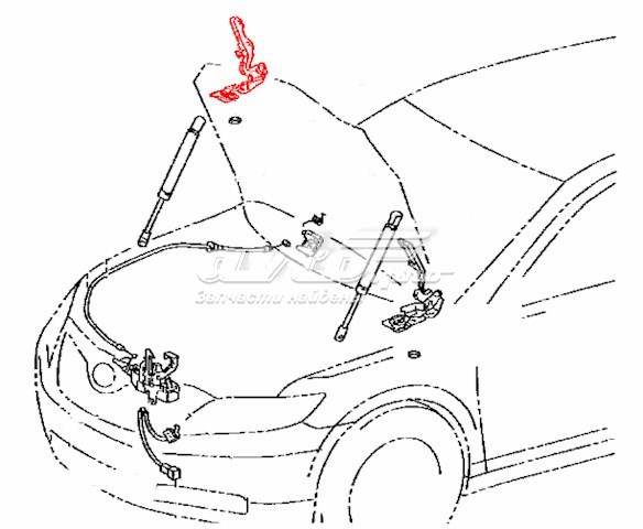 Gozno da capota direito para Toyota Camry (V40)