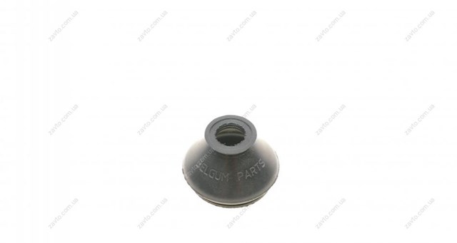 BG0172 Belgum 