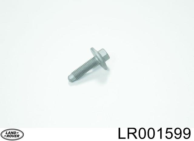  LR001599 Land Rover