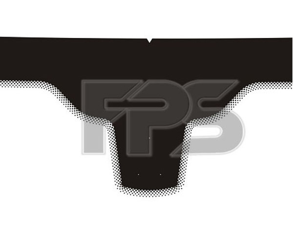 Стекло лобовое Pilkington GS5023D11P цена, от 72.87 USD