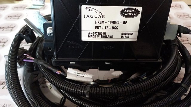 T4A7494 Jaguar 