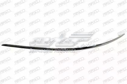 Moldura de paragolpes delantero izquierdo ME0291244 PRASCO