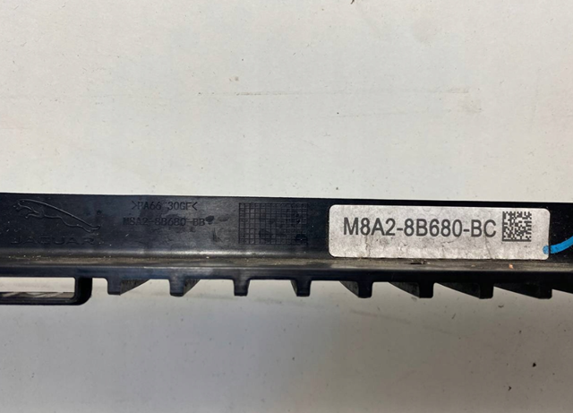  Jaguar T4A40777