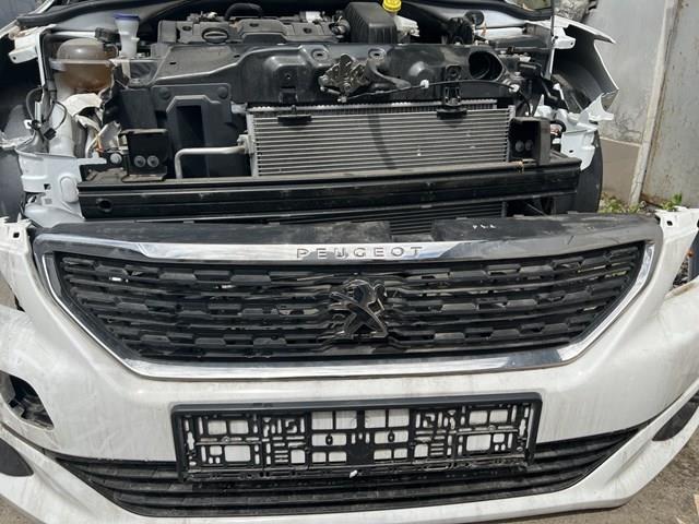 9816027680 Peugeot/Citroen молдинг решетки радиатора