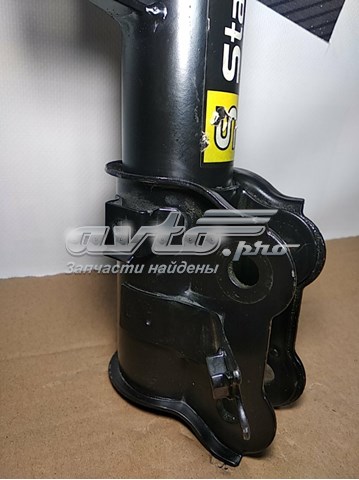  Starline TLC001123