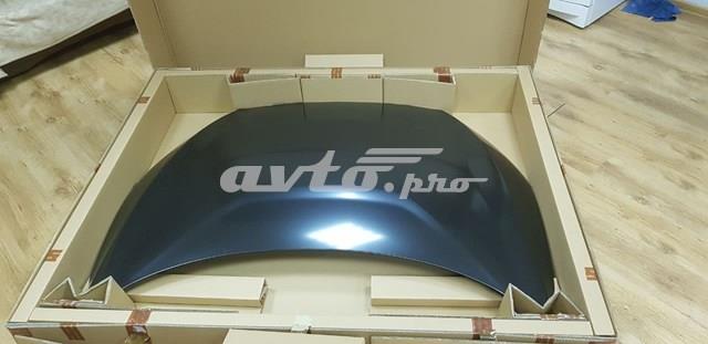 Капот 60100TRTA90ZZ Honda