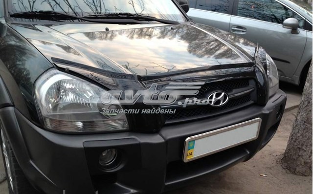 Defletor da capota para Hyundai Tucson (TL)