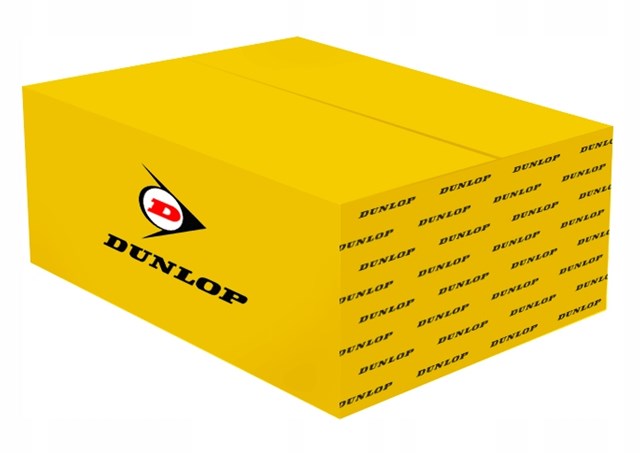 Амортизатор передний DUNLOP DAS10036