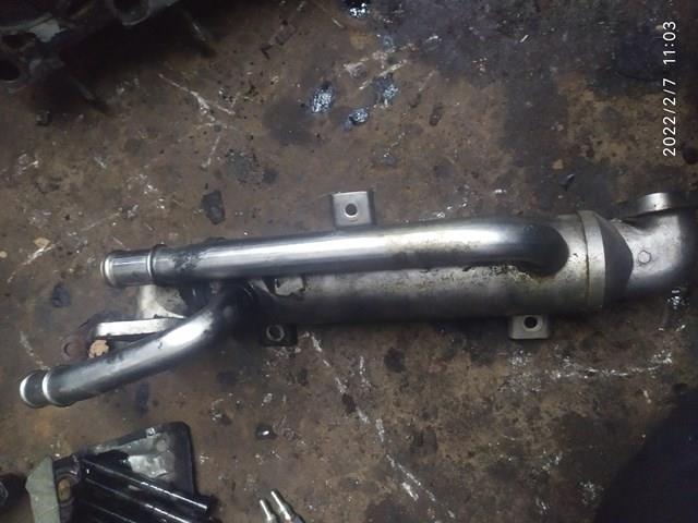 038131513H VAG Enfriador EGR de recirculación de gases de escape original y equivalente