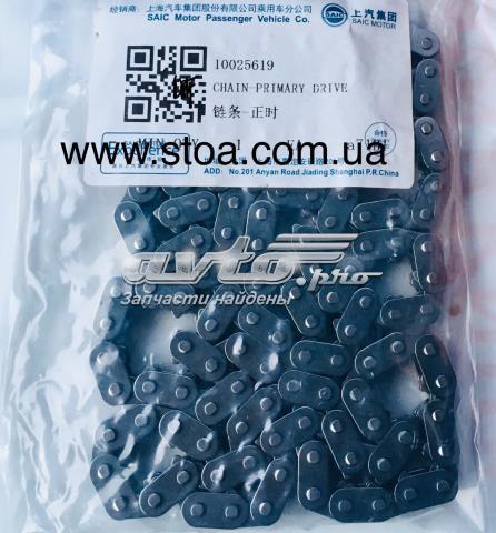 10025619 MG Цепь