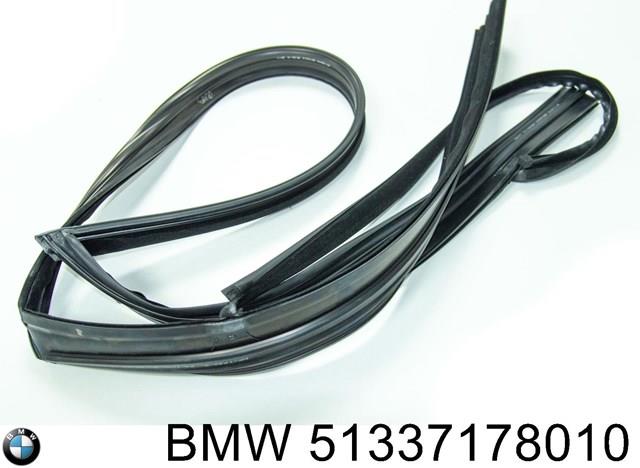 51337178010 BMW guia de vidro de quadro da porta dianteira direita