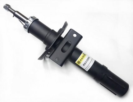 RS312594 Raiso Стойка передняя