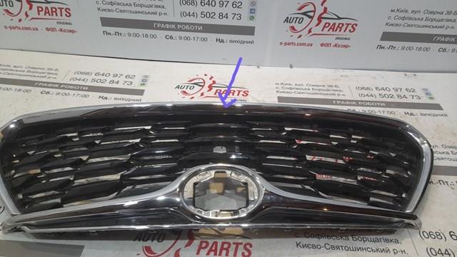 Купить PTY99360GA Signeda Решетка радиатора