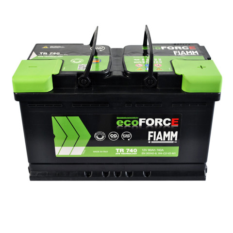 Купить 7906196 Fiamm 