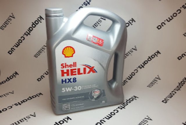 550040513 Shell óleo para motor