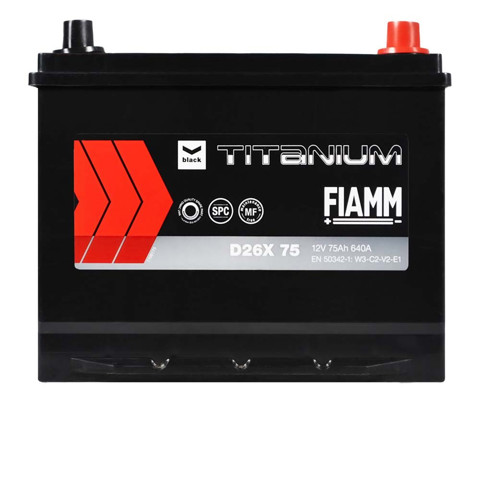 7905188 Fiamm 