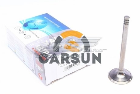 Впускной клапан PSEA030S0N AMP/Paradowscy