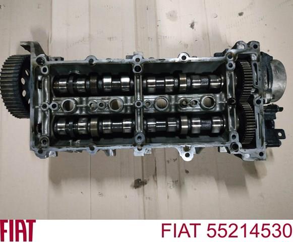 Compre Cama da árvore distribuidora Fiat Punto 