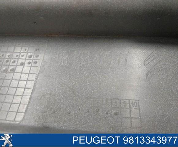 Верхняя часть заднего бампера 9813343977 Peugeot/Citroen