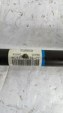 Купить HG933B436CC Ford 