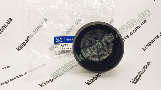 263523C250 Hyundai/Kia 