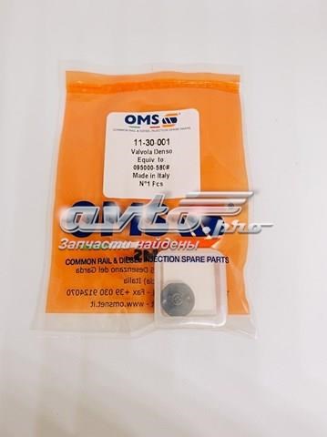  1130001 OMS