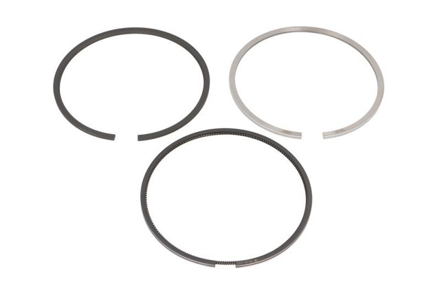 213RS101010N0 Mahle Original Поршневые кольца на 1 цилиндр, STD