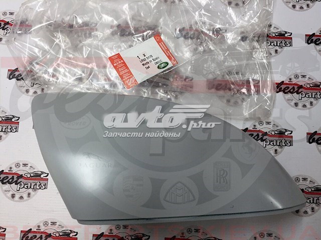 Накладка (крышка) зеркала заднего вида правая LR025170 Land Rover