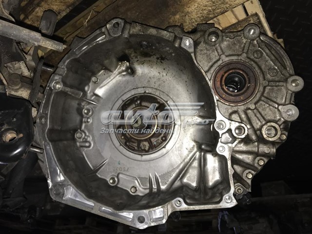 Купить 55565311 Opel 
