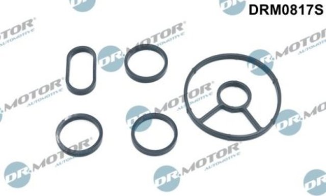 DRM0817S Dr.motor 