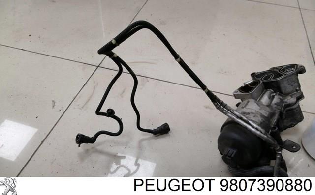 Peugeot/Citroen 9807390880 цена, от 58.68 USD