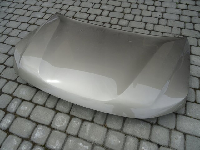 Капот двигателя Renault (RVI) 651008347R