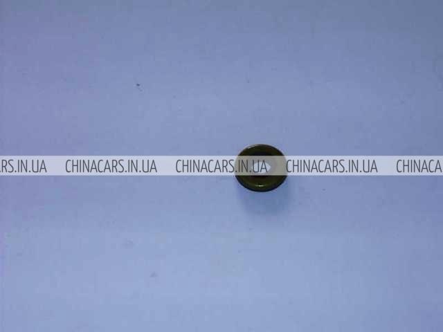 1022004500 Geely Шайба болта клапанной крышки