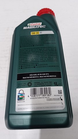 Моторное масло 15F60E Castrol