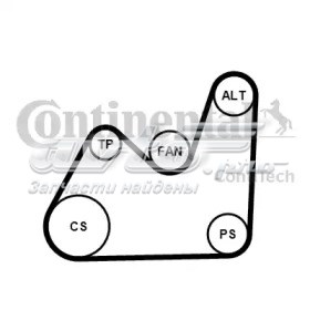 Купить 5PK1432K1 Continental/Siemens Ремень приводной