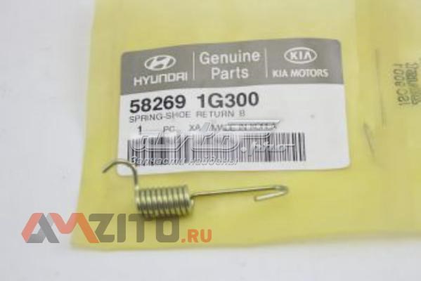 582691G300 Market (OEM) 