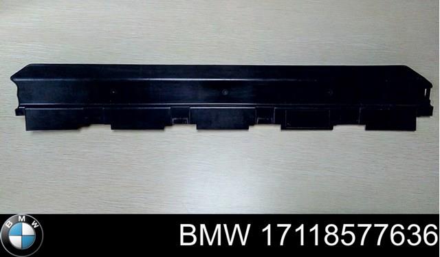 17118577636 BMW 