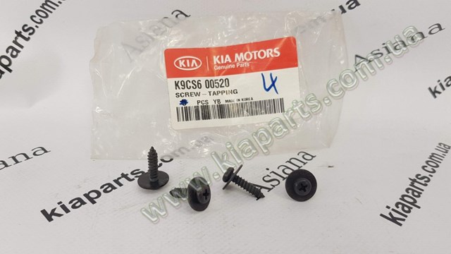 K9CS600520 Hyundai/Kia 