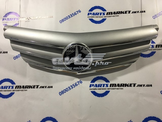 Grelha do radiador para Mercedes B (W245)