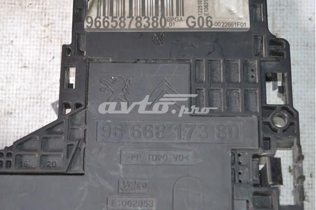 Купить 9665878380 Peugeot/Citroen 