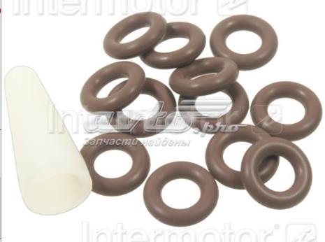 Купить SK9 Standard Кольцо инжектора