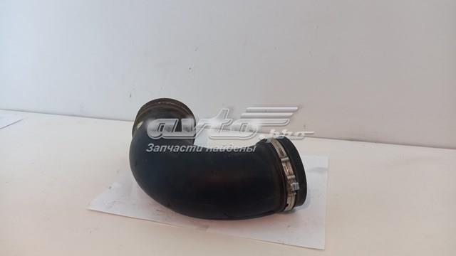  504134674 Iveco
