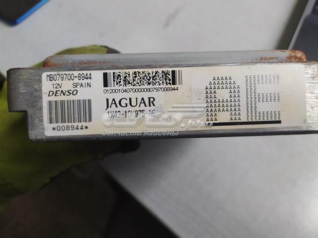 1X4310K975AE Jaguar 