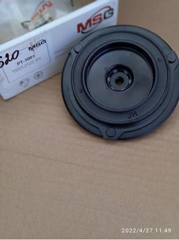  PT1001 MSG