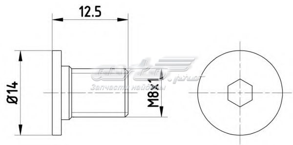 Болт тормозного диска TEXTAR TPM0002