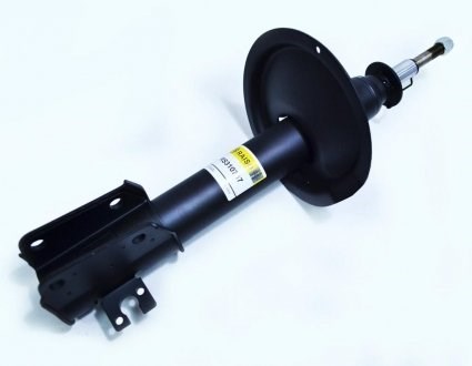 Амортизаторы передние Raiso RS310767
