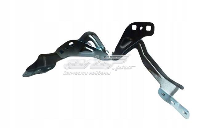 DS7Z16796A Ford gozno da capota direito