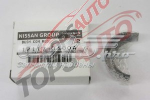  Nissan/Infiniti 12117JA00A