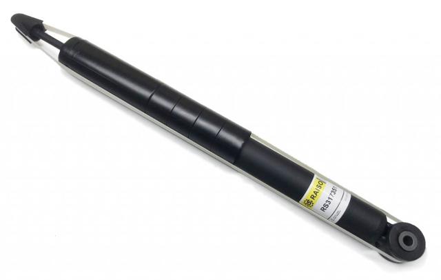 RS317351 Raiso Амортизаторы задние